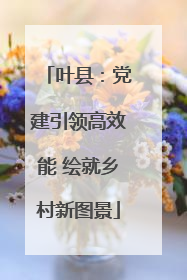 叶县：党建引领高效能 绘就乡村新图景